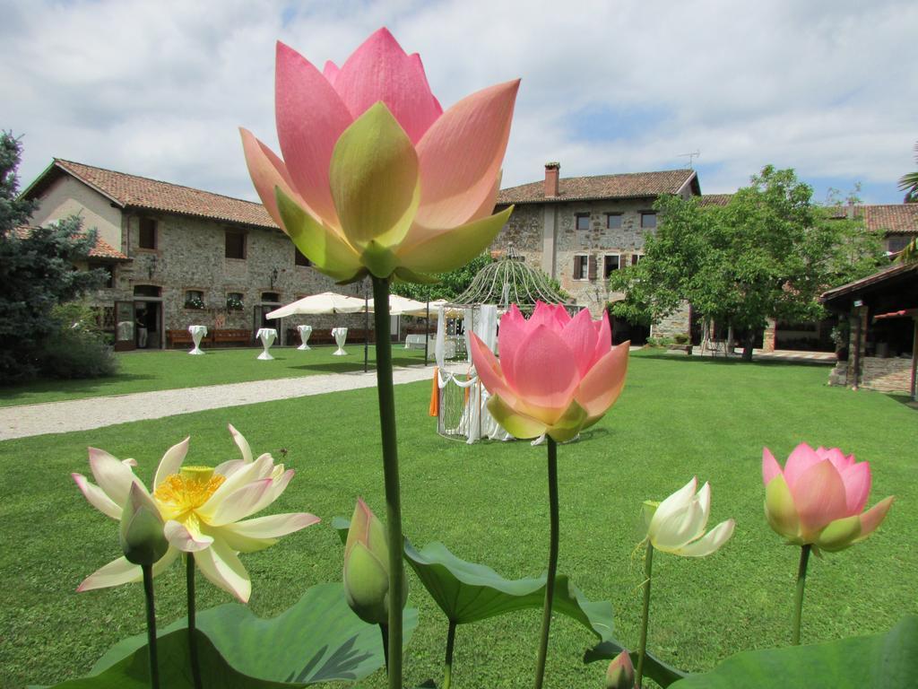 Agriturismo Il Vagabondo Buttrio Exterior foto